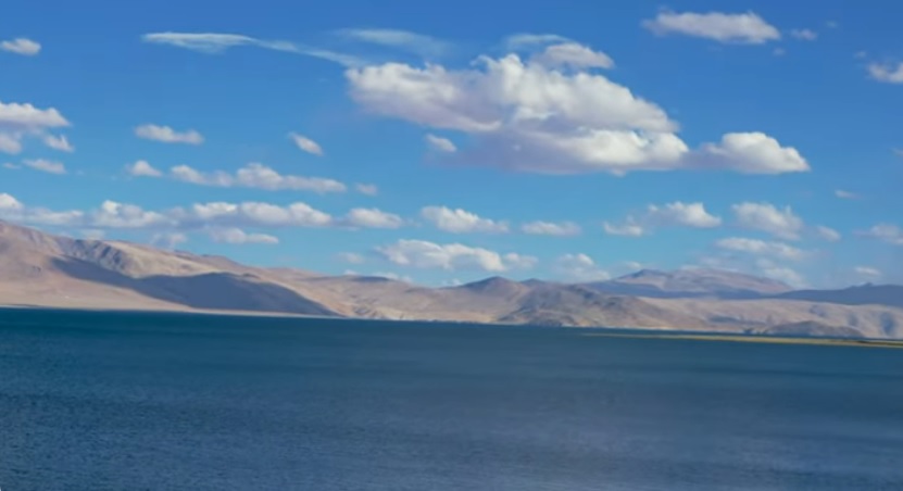 Tso Moriri Lale Ladakh